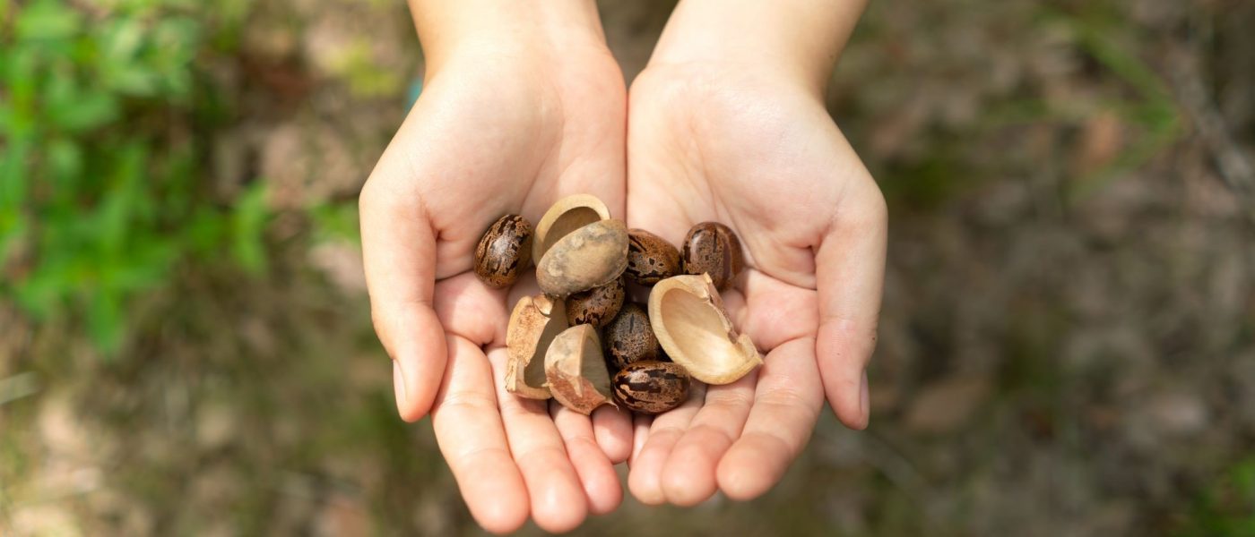Sustainable Sourcing Policy